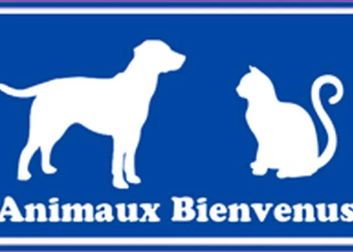 T2 Climatise A 2 Minutes De La Du Pont Tournant - 4branb